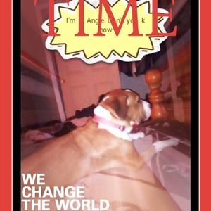 Meet your Posher, Kris